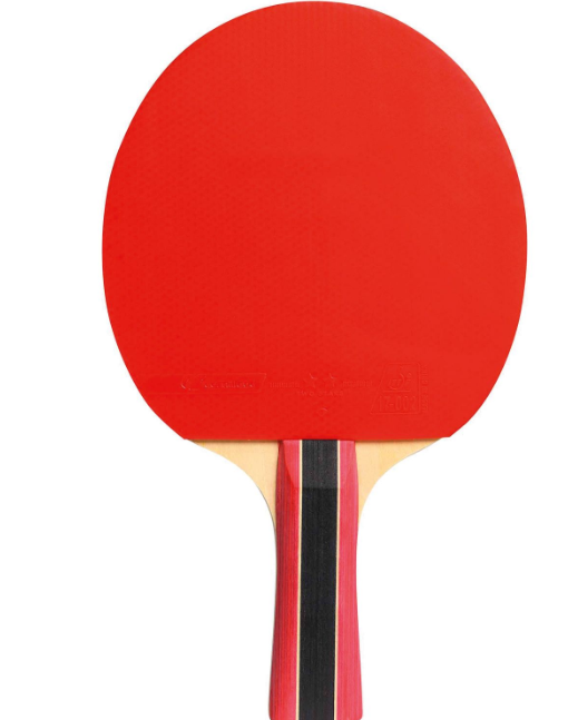 Cornilleau Sport 300 Pingpongütő